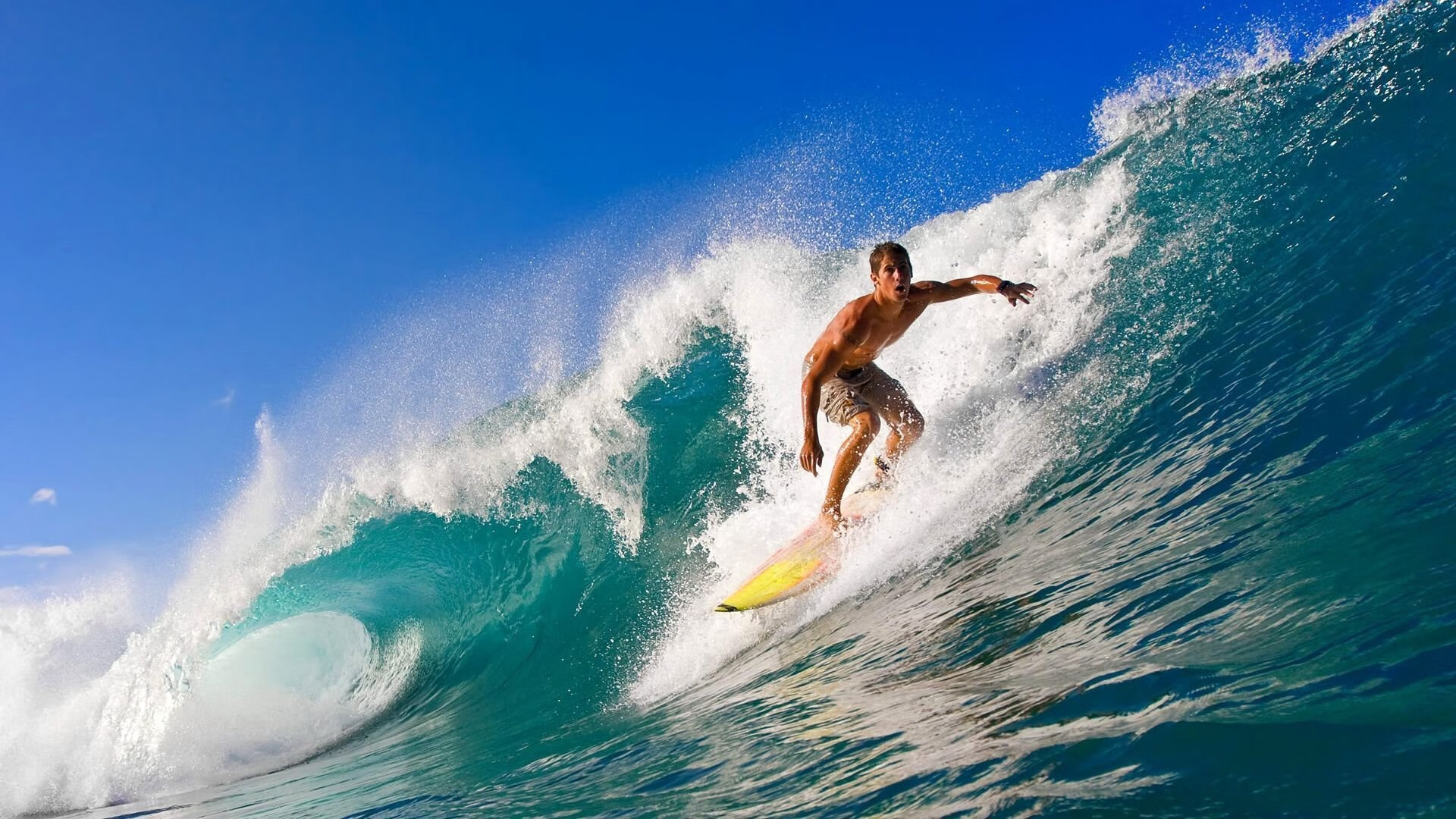 _北美洲网球明星邀请赛：巅峰对决展现顶级水平_，北美洲预选赛积分榜