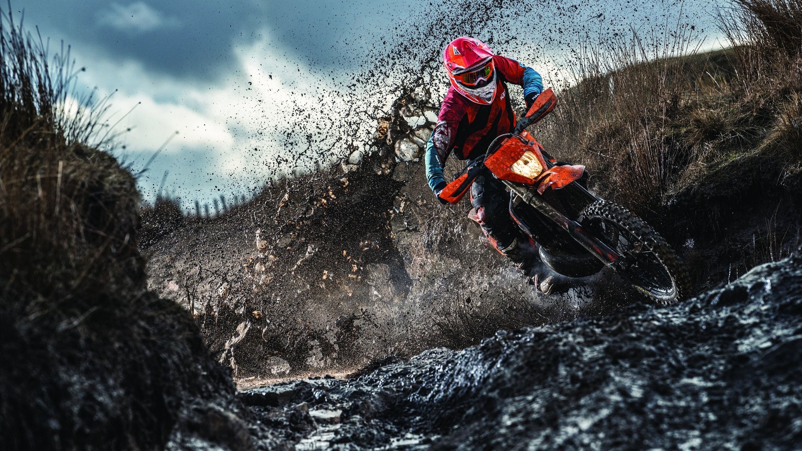 “尼古拉斯·桑特基：阿根廷美洲狮队的全能组织者，未来发展不可限量”